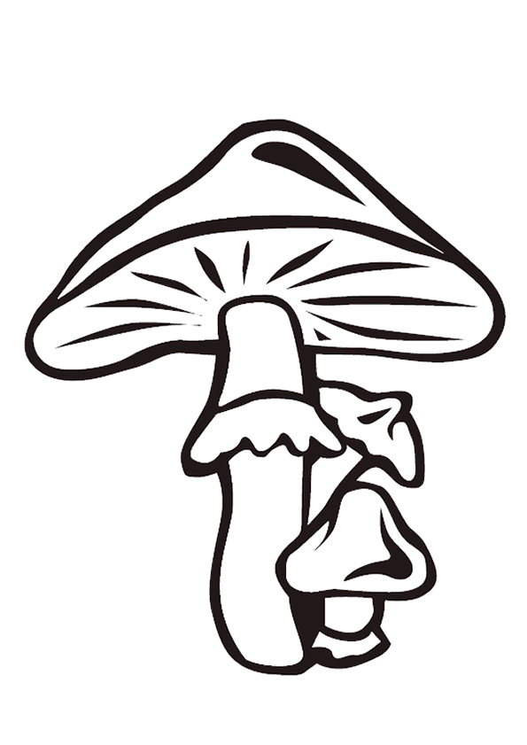 Simple Mushrooms coloring page to download for free