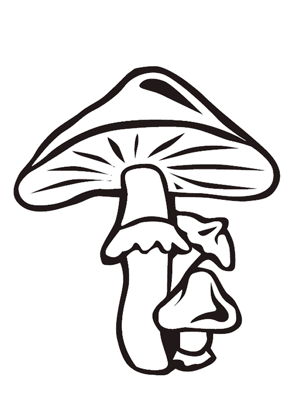 Simple mushroom for coloring for little one