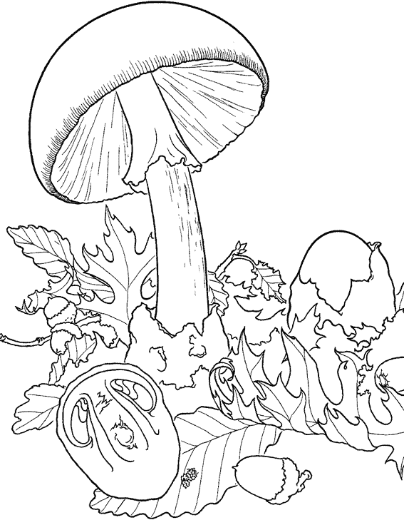 Free Mushrooms coloring page to download