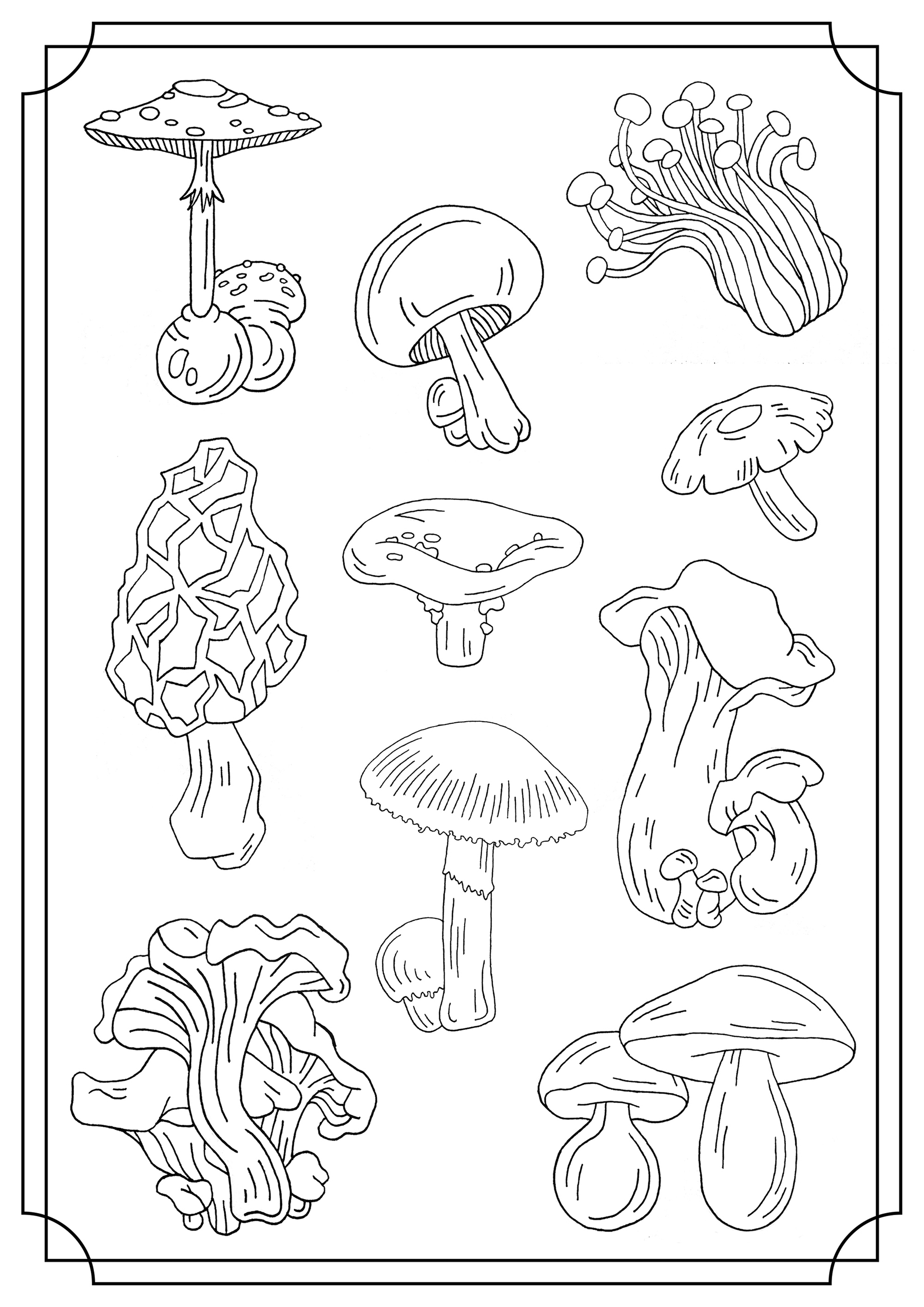 Mushroom Coloring Pages Printable Printable World Holiday