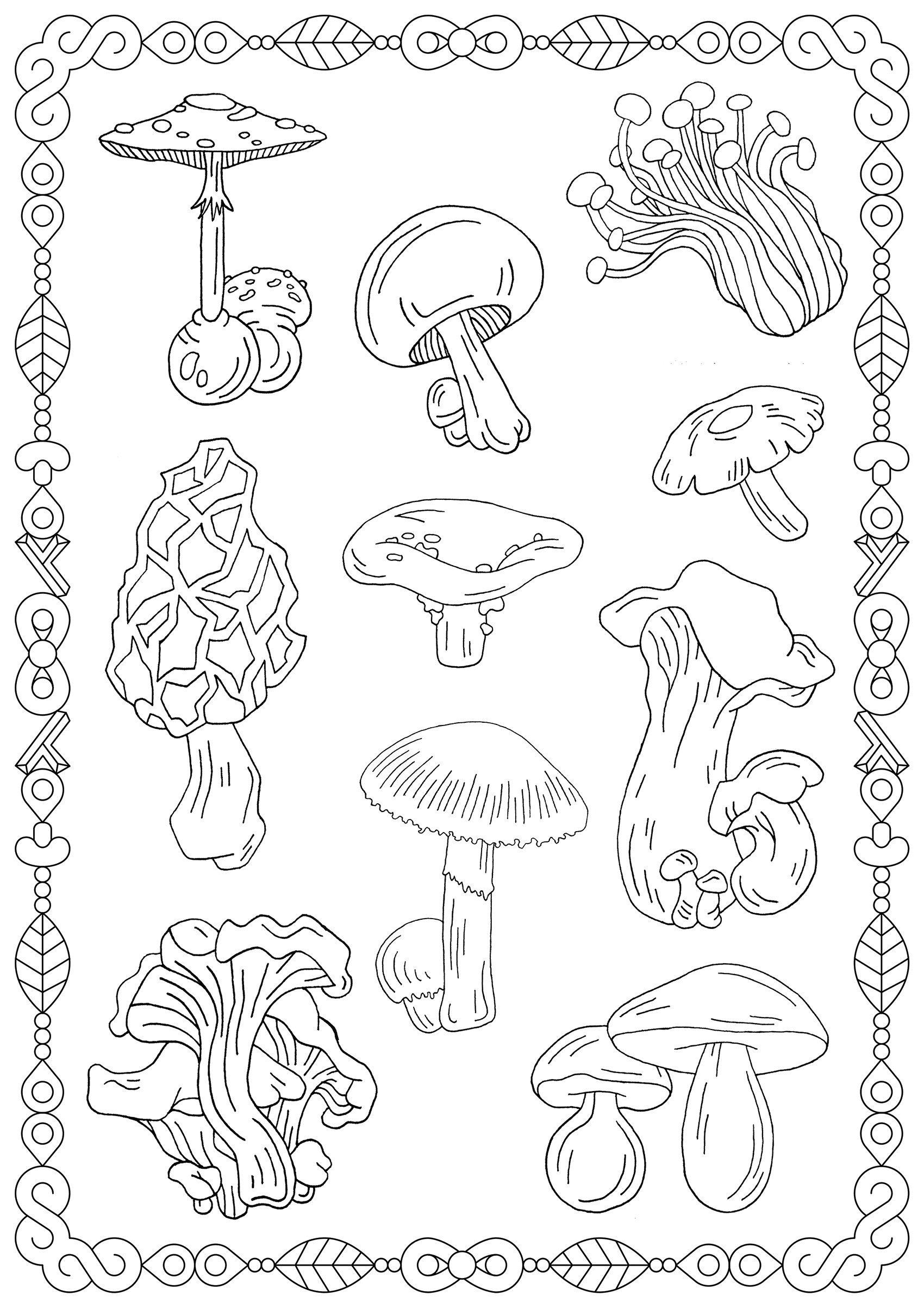 Mushrooms & bugs large coloring sheets - Pearl Paint