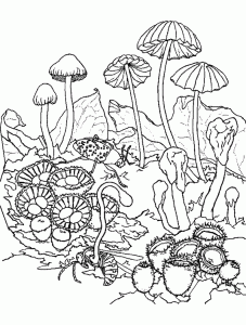 Coloring page mushrooms to download
