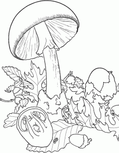 Coloring page mushrooms to print