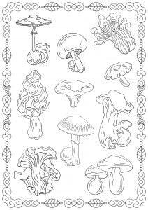 mushrooms free printable coloring pages for kids