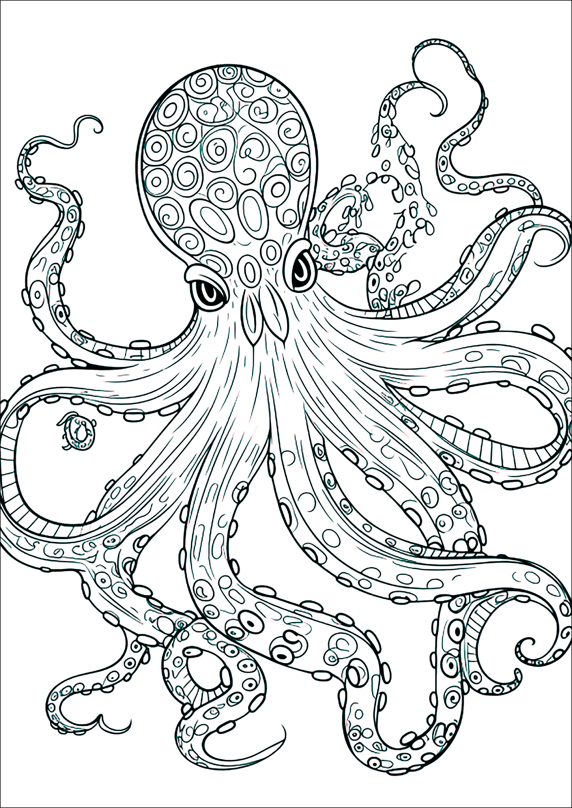Giant Octopus to print and color