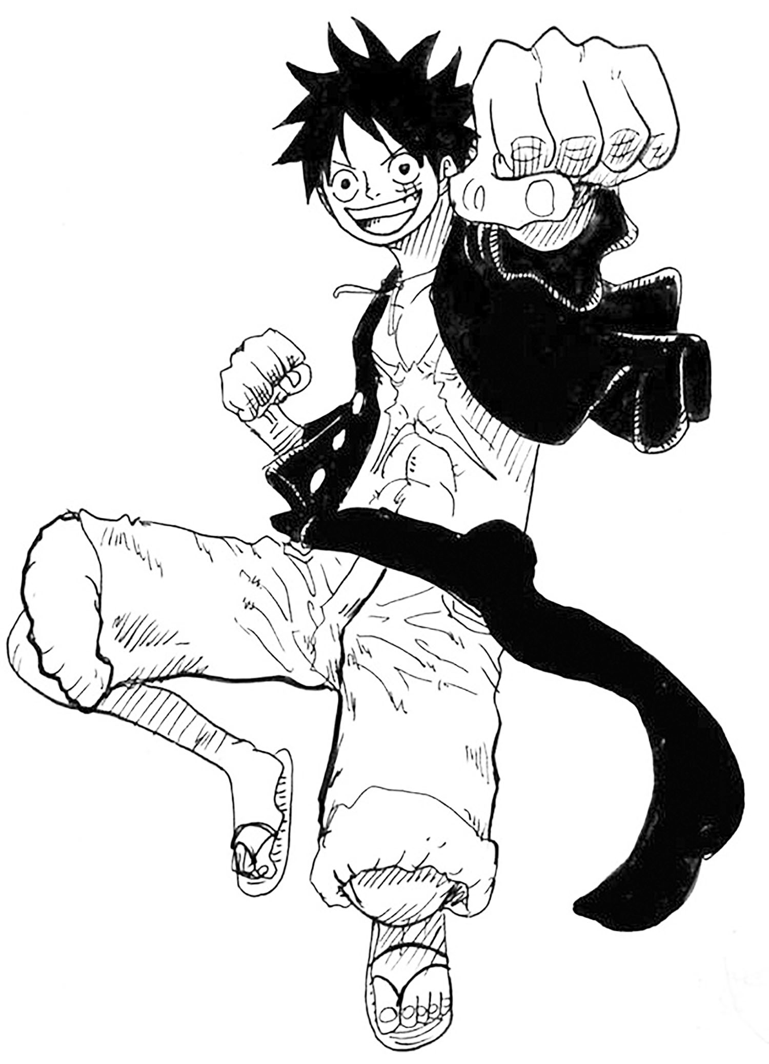 Monkey D. Luffy Nami Line art Sketch, One Piece manga, angle, white, mammal  png | PNGWing