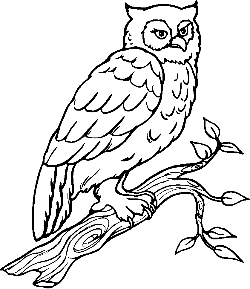 Get your pencils and markers ready to color this owl coloring page