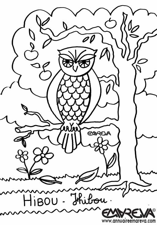 Owl drawing to print and color
