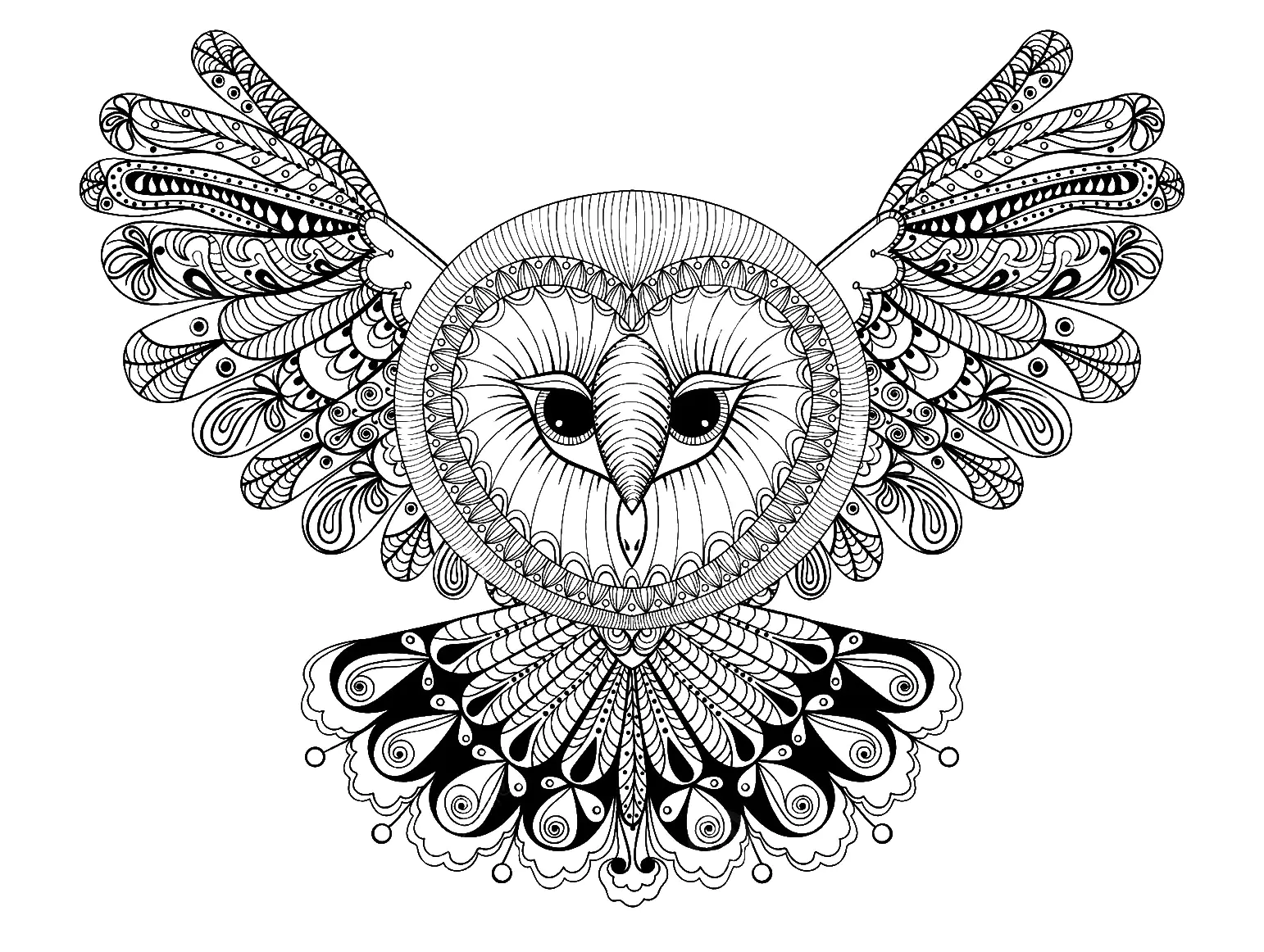 Owl coloring page for children