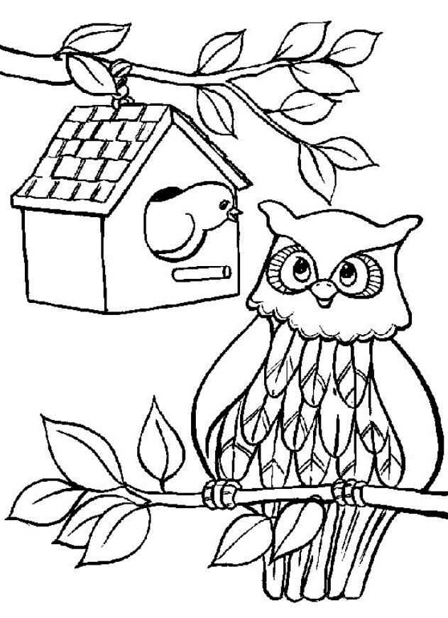 Simple owl coloring for children