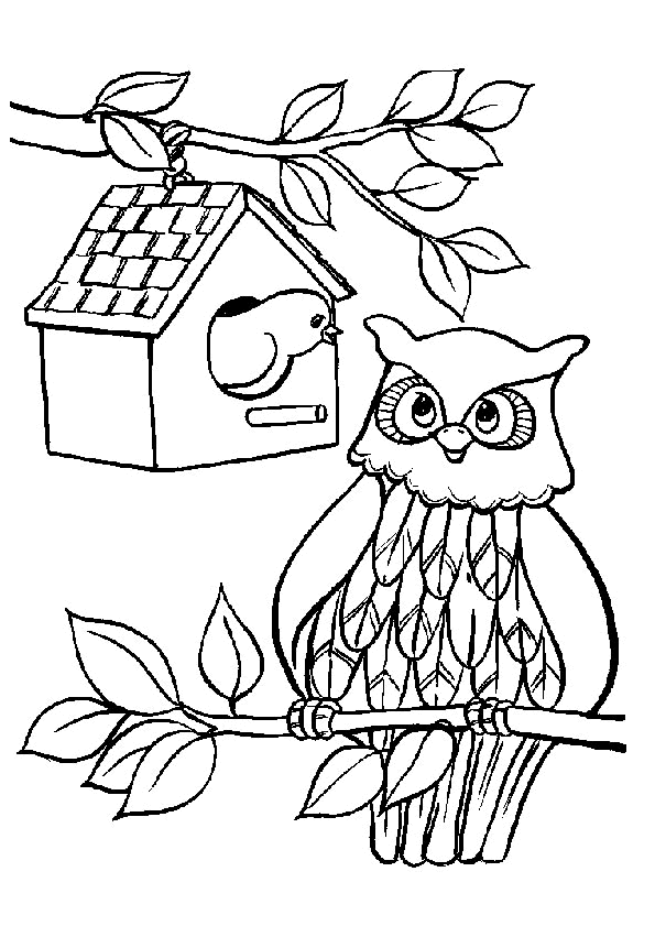 Easy owl coloring for kids