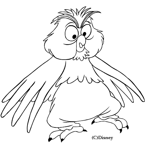 Simple owl coloring for children
