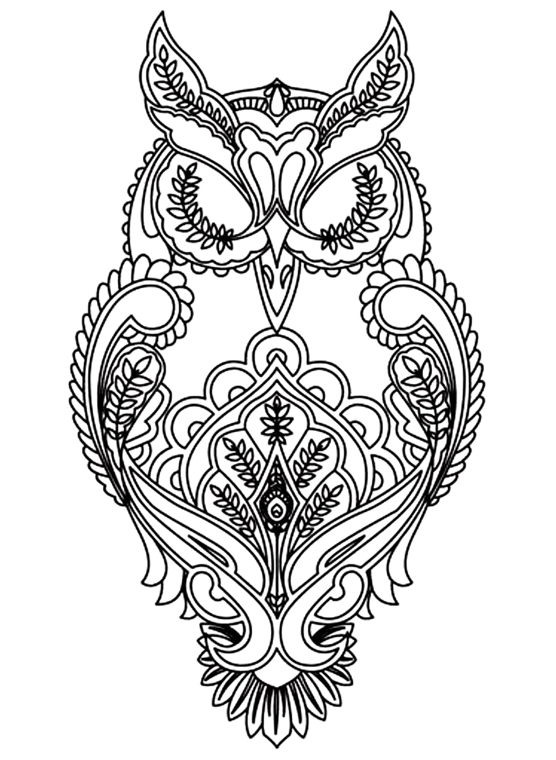 Owl coloring page to print