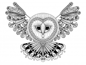 Owl coloring pages for children