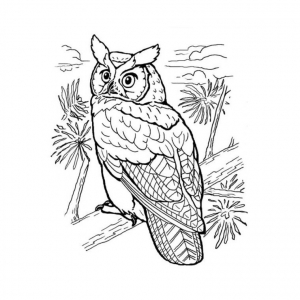 Owl image to download and color