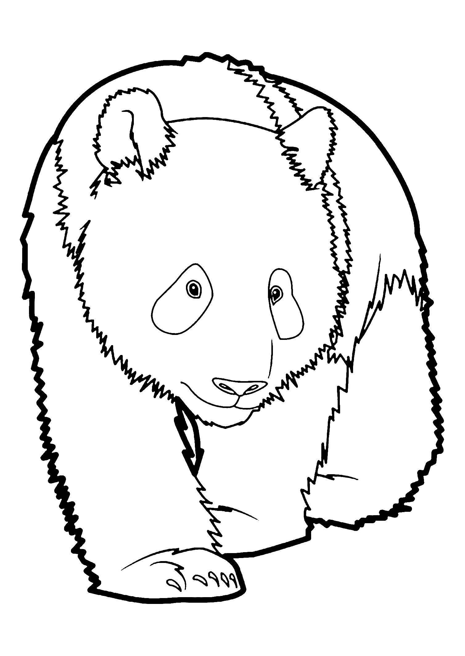 Incredible panda coloring page, simple, for children