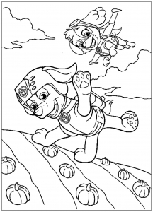 Coloring page paw patrol for kids