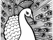 Peacocks Coloring Pages for Kids