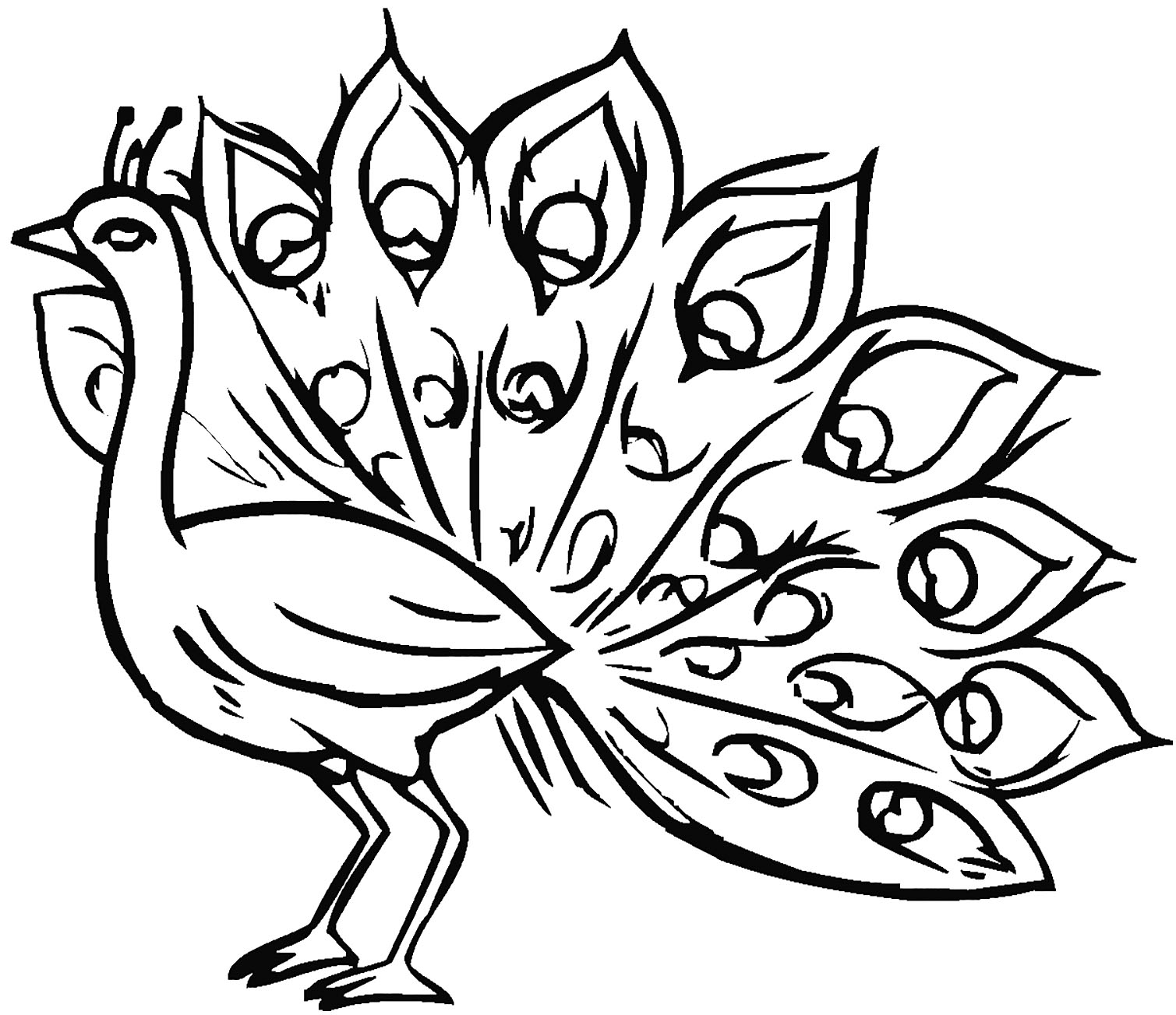 Simple peacock coloring pages for kids