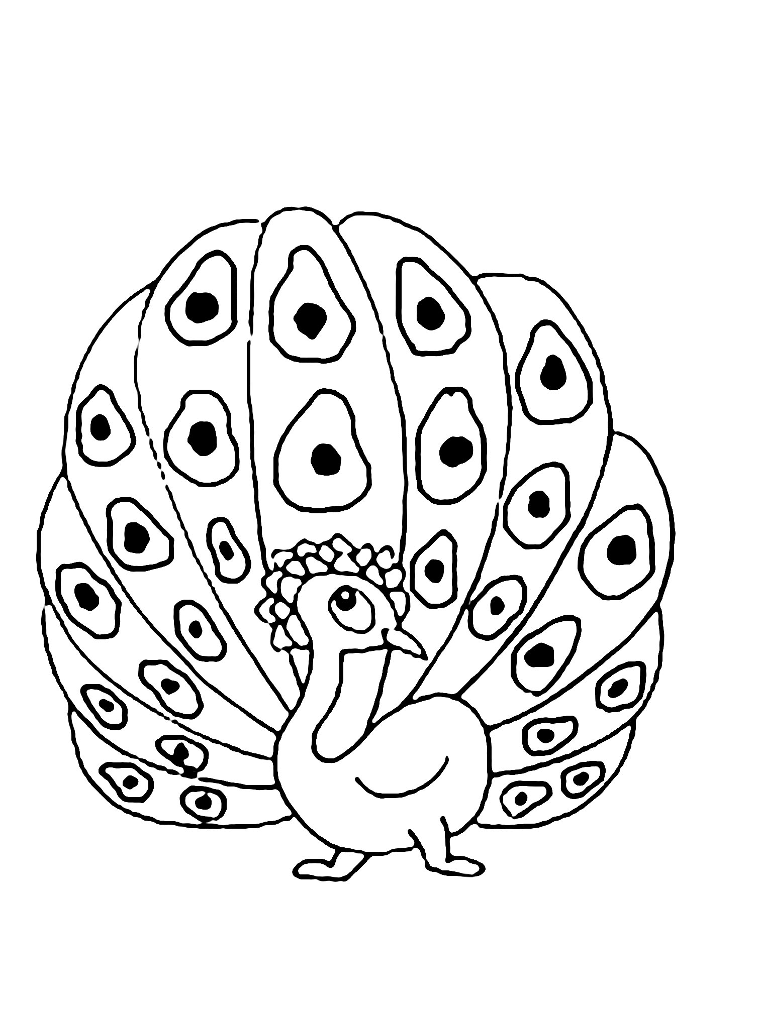 Peacock drawing to download and print for children