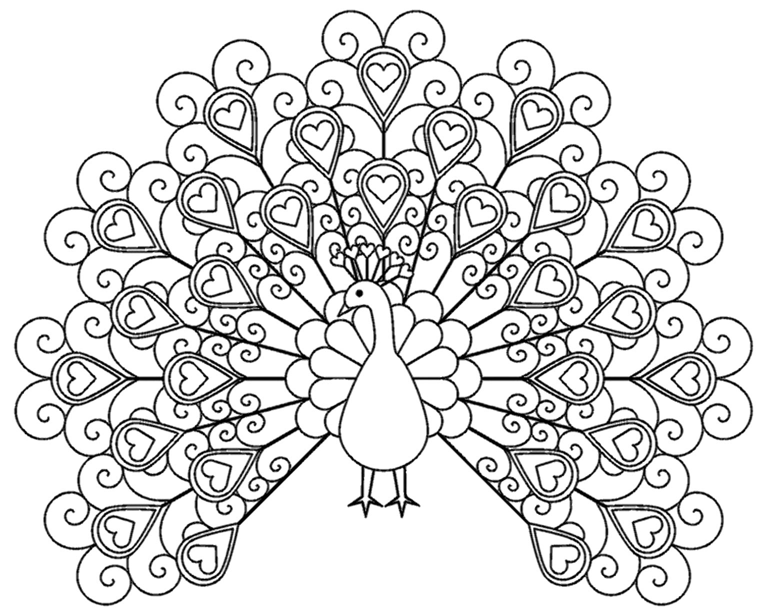 Peacock Coloring Pages For Kids Peacocks Kids Coloring Pages