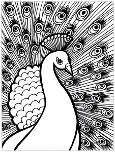 Coloring page peacocks to print for free