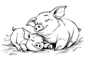 Two pigs peacefully asleep