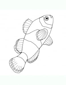 Fish image to print and color