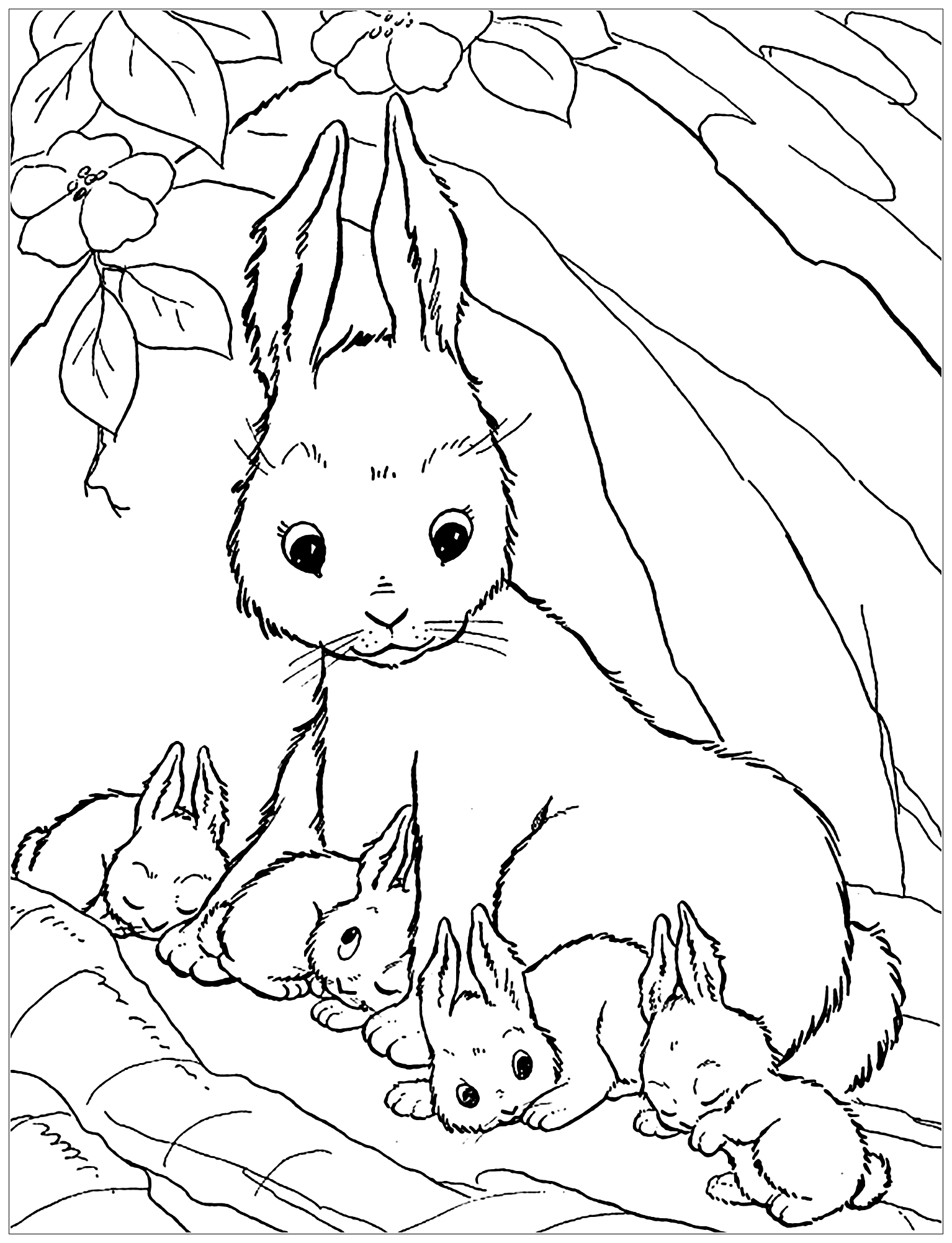 Rabbit & bunnies picture to color, easy for kids
