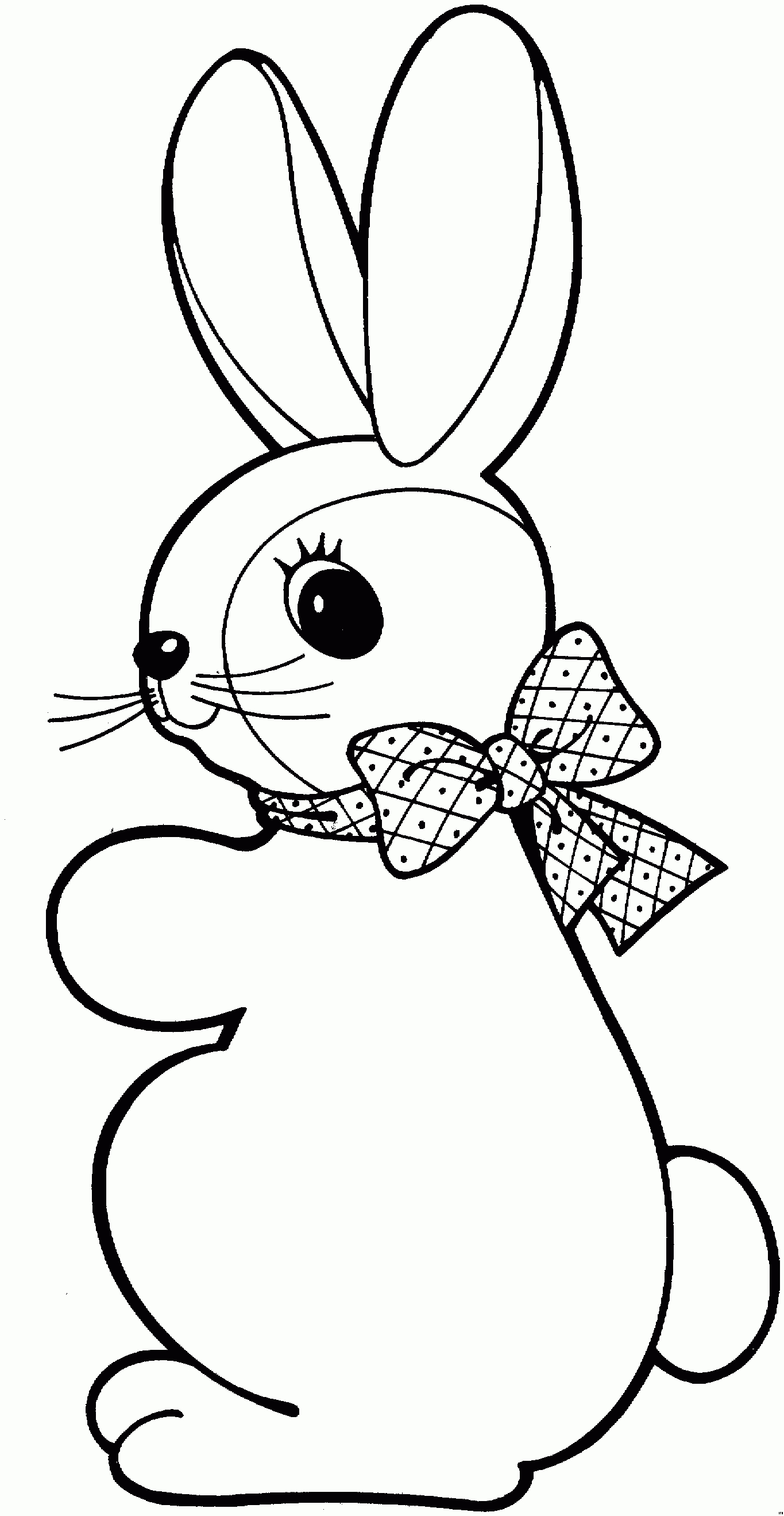 Rabbit coloring page to download for free
