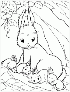 Rabbit coloring pages for kids