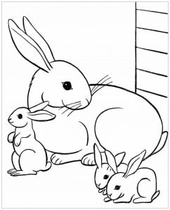 Rabbit & bunnies coloring pages for kids