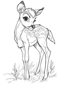Magnificent drawing of a fawn
