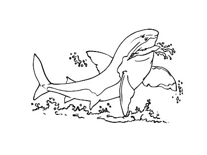 Free shark coloring page to print - Shark Coloring Pages for Kids