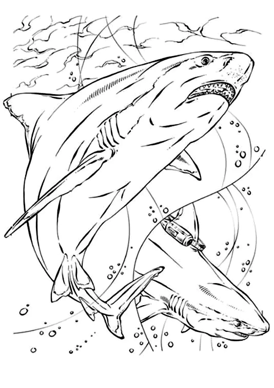 Free shark coloring page to print