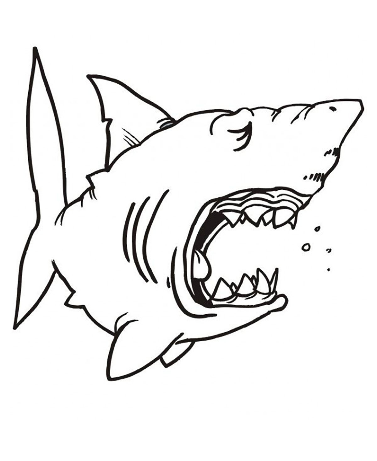 Coloring page : Sharks for children.