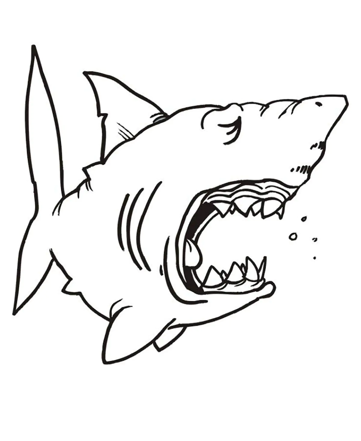 Sleeping shark (Printable Coloring Page for Kids)