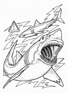 Coloring page sharks to print