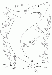 Coloring page sharks for kids