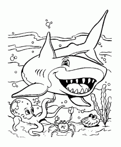 Coloring page sharks for kids