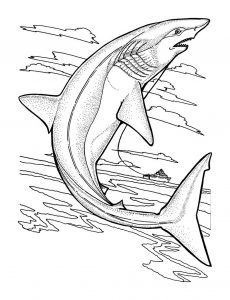 Coloring page sharks to print for free