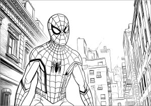 Spiderman in New York
