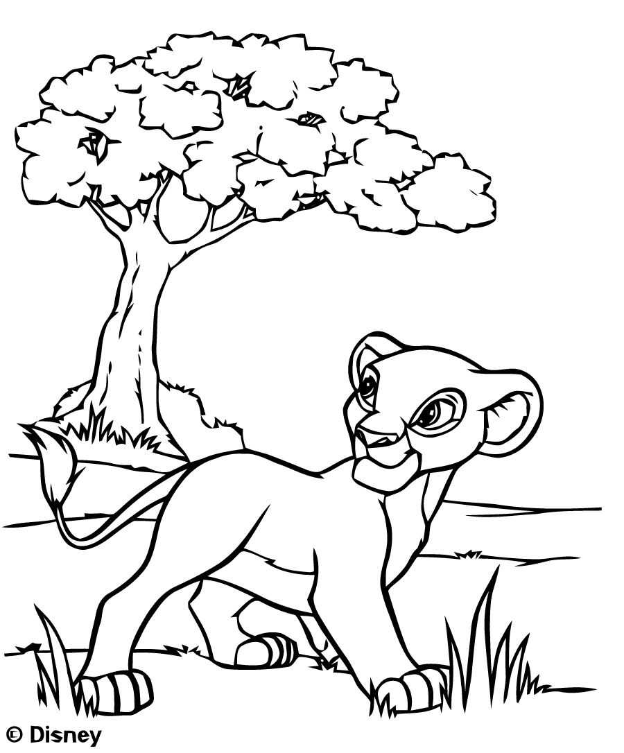 Coloring page of Simba walking in Savannah