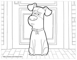 Coloring page the secret life of pets to color for children