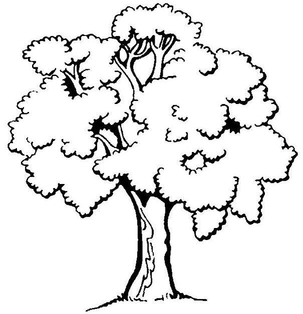 Simple free Trees coloring page to print and color