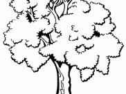 Trees Coloring Pages for Kids