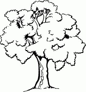 Coloring page trees free to color for kids
