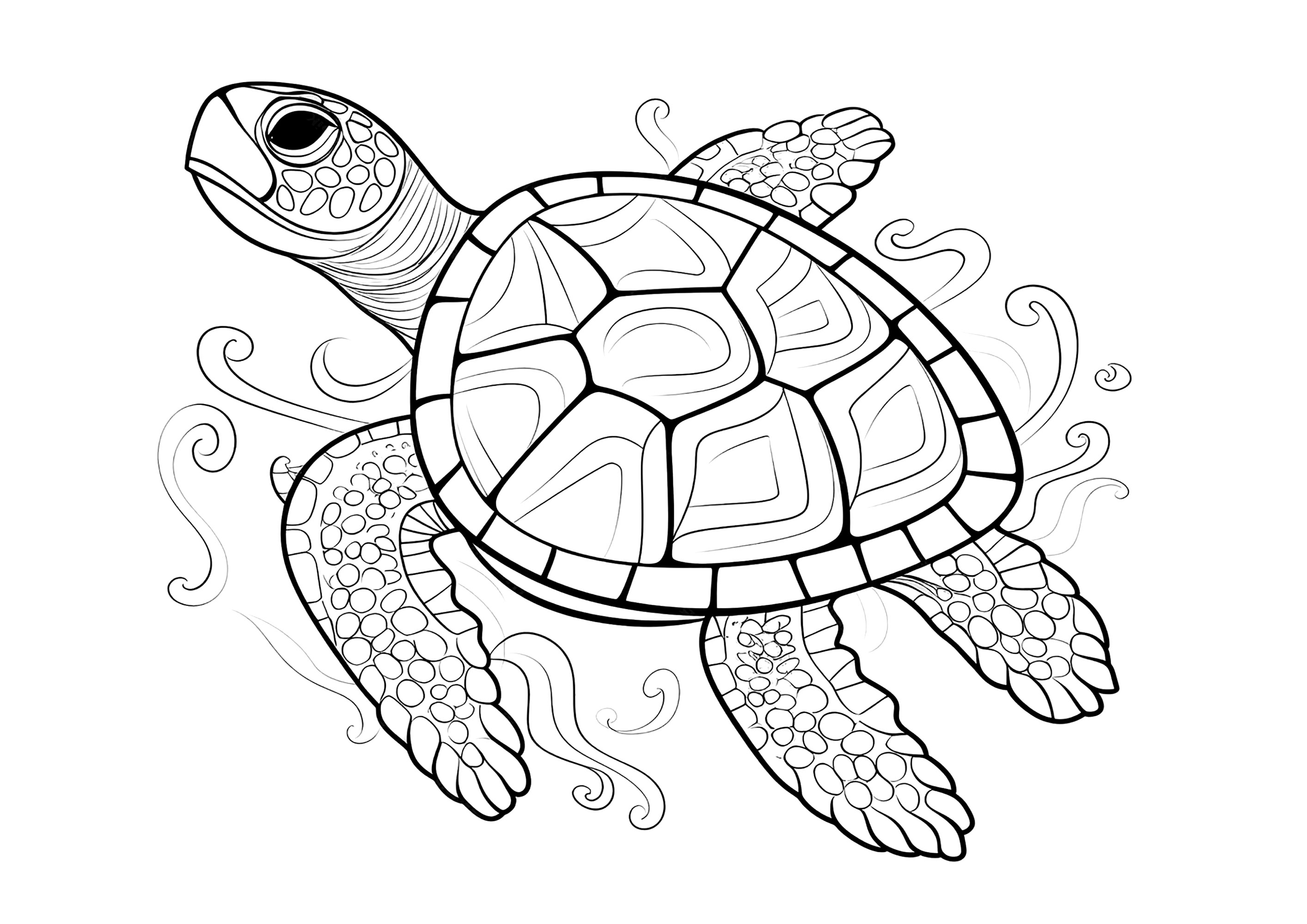 Beautiful turtle to color. Colour each scale with different shades of the same color, or different colors.