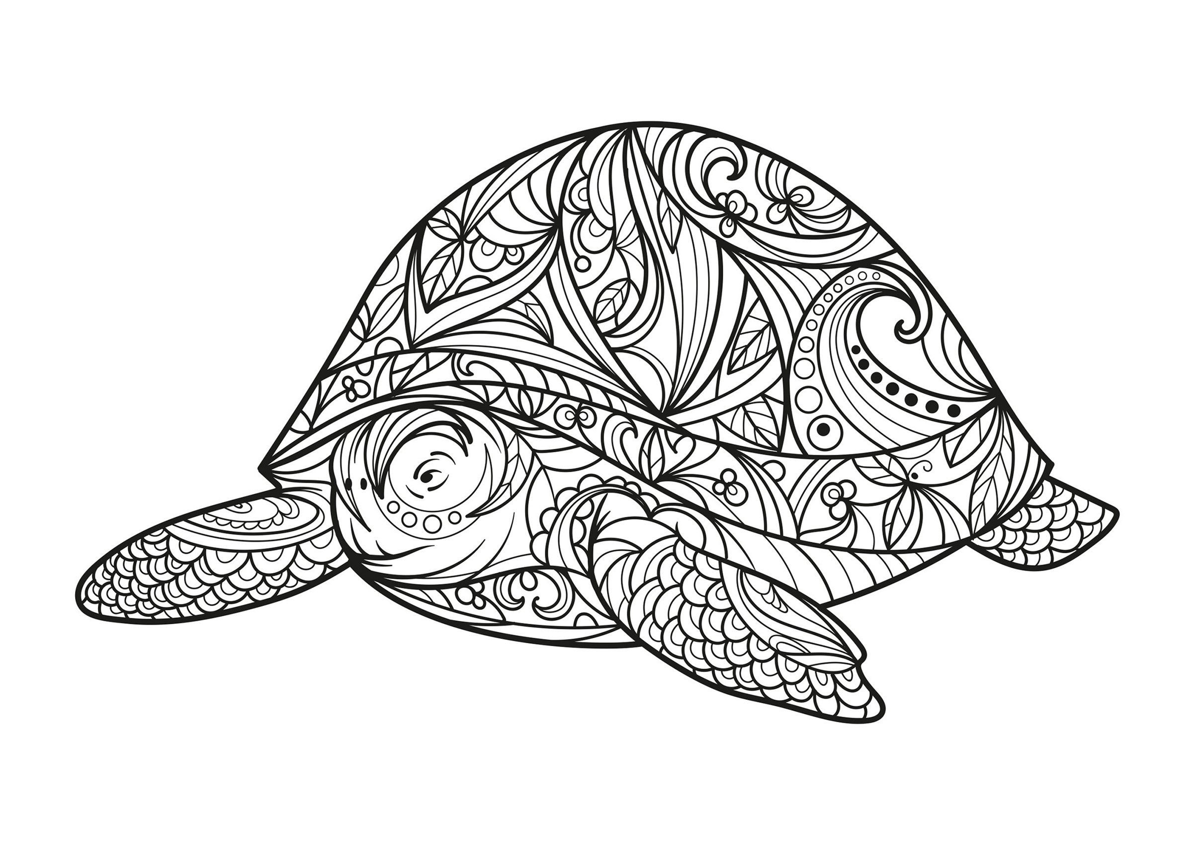 Grosse tortue - Turtle Coloring Pages - Page page/4/