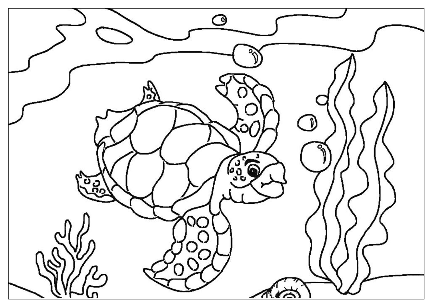 Free turtle drawing to print and color - Turtles Kids Coloring Pages